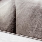 Kurzflor Teppich MIAMI Braun