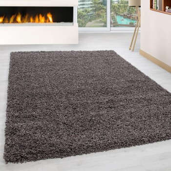 Hochflor Teppich LIFE Taupe 60 x 110 cm
