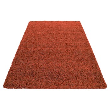 Hochflor Teppich LIFE Terrakotta 300 cm x 400 cm