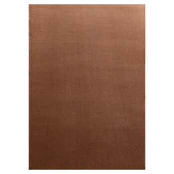 Kurzflor Teppich SKY Braun 80 x 250 cm