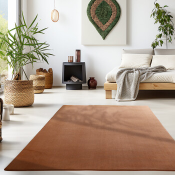 Kurzflor Teppich SKY Braun 160 cm x 230 cm