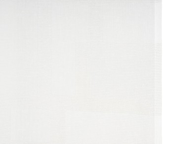 Ambiente Trendlife Schiebevorhang Enjoy 60x245cm