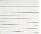 Ambiente Trendlife Schiebevorhang Merlin Dunkelgrün 60x245cm
