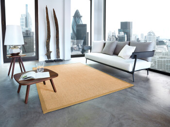Sisal Premium Teppich ASTRA Manaus chablis/beige 300x400cm