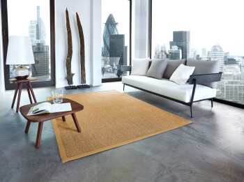 Sisal Premium Teppich ASTRA Manaus cognac/beige 250x350cm