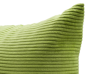 Ambiente Trendlife Gefülltes Kissen Capri hellgrün 30x50cm