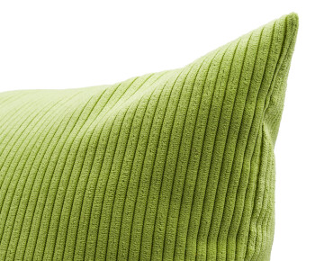 Ambiente Trendlife Gefülltes Kissen Capri hellgrün 60x60cm