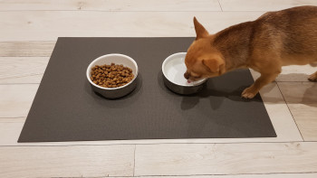 SanoZoo, die Napfunterlage XL! Öko-TEX - Made in Germany - Futtermatte für Hund & Katze, 70x120cm