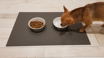 SanoZoo, die Napfunterlage XL! Öko-TEX - Made in Germany - Futtermatte für Hund & Katze, 70x120cm Rot