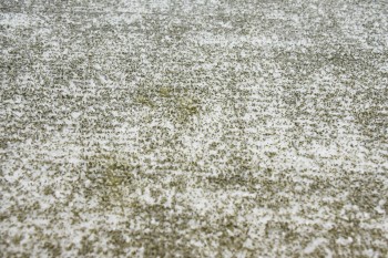 Teppich SchoenesWohnen24 Etna 110 Olivgrün 120cm x 170cm