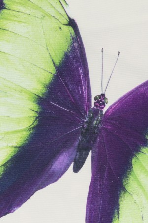 Elbersdrucke  Summer Butterfly 03 offwhite-grün...