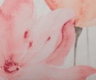 Gözze Kissenhülle Bianca ca.50x50 cm, Farbe apricot