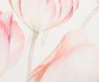 Gözze Tischläufer Diana ca.40x140 cm, Farbe apricot